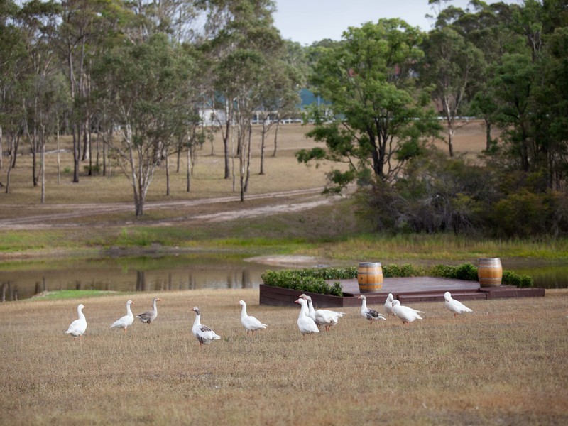 Lovedale NSW 2325