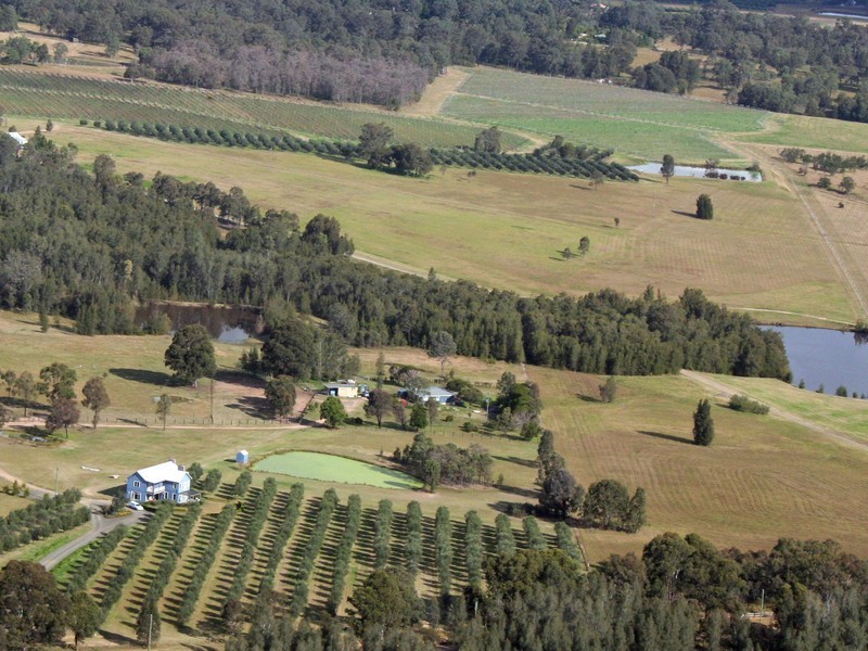 77 Wilderness Road, Lovedale NSW 2325