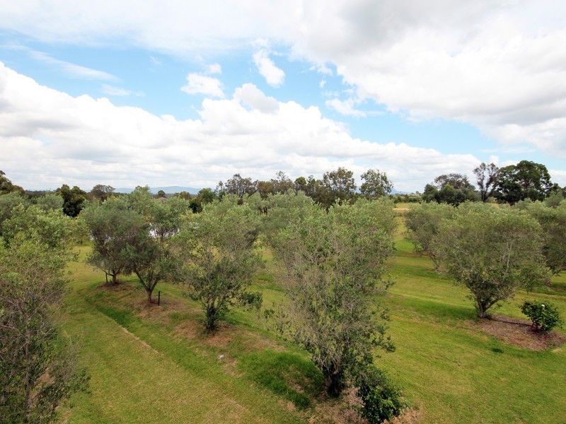 77 Wilderness Road, Lovedale NSW 2325