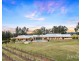 463 & 439 Deaseys Road, Pokolbin NSW 2320
