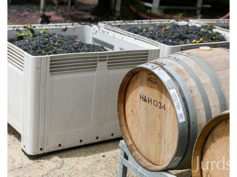 463 & 439 Deaseys Road, Pokolbin NSW 2320