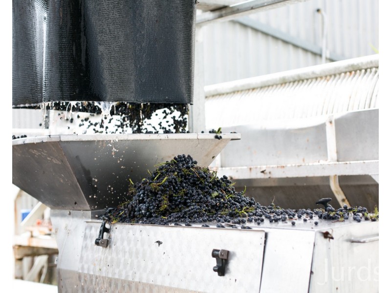 463 & 439 Deaseys Road, Pokolbin NSW 2320