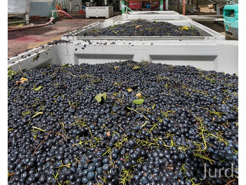 463 & 439 Deaseys Road, Pokolbin NSW 2320