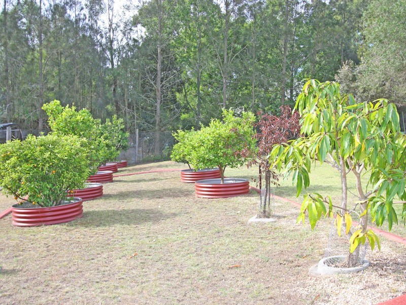 6 Bilby Close, Bellbird NSW 2325