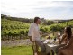 Lots 1 – 4 Wine Country Drive, Pokolbin NSW 2320