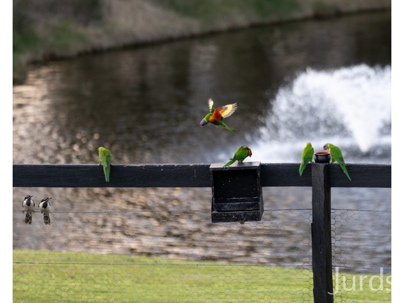 9 Maple Drive, Pokolbin NSW 2320