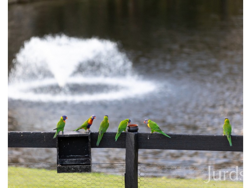 9 Maple Drive, Pokolbin NSW 2320