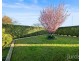 14 Doyle Street, Cessnock NSW 2325