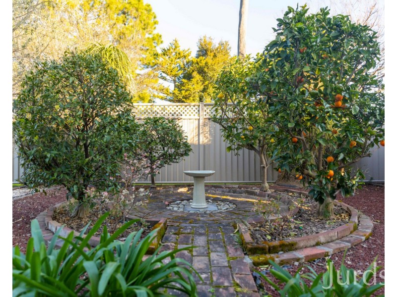 14 Doyle Street, Cessnock NSW 2325