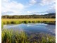 Lot 4 Dry Creek Road, Ellalong NSW 2325