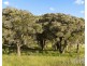 Lot 4 Dry Creek Road, Ellalong NSW 2325
