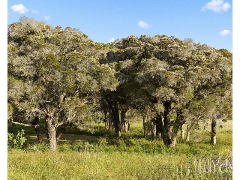 Lot 4 Dry Creek Road, Ellalong NSW 2325