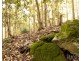 Millfield NSW 2325