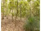 Millfield NSW 2325