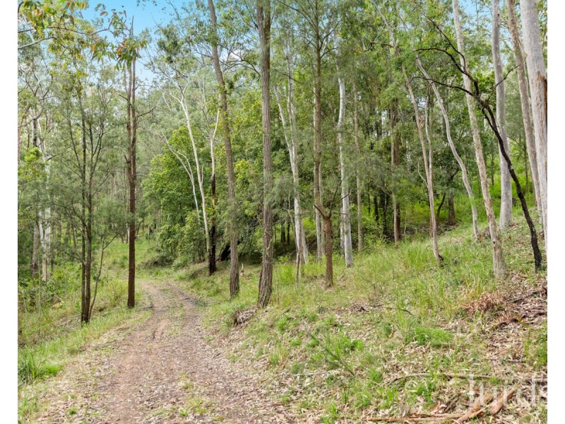 Millfield NSW 2325