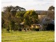 217 Deaseys Road, Pokolbin NSW 2320