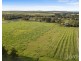 217 Deaseys Road, Pokolbin NSW 2320
