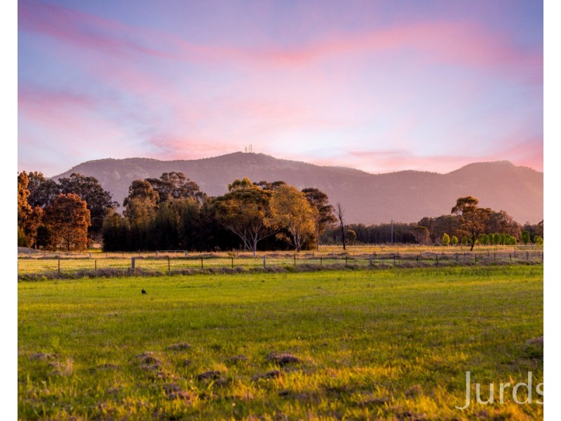 217 Deaseys Road, Pokolbin NSW 2320