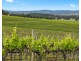 119 & 139 Mistletoe Lane, Pokolbin NSW 2320