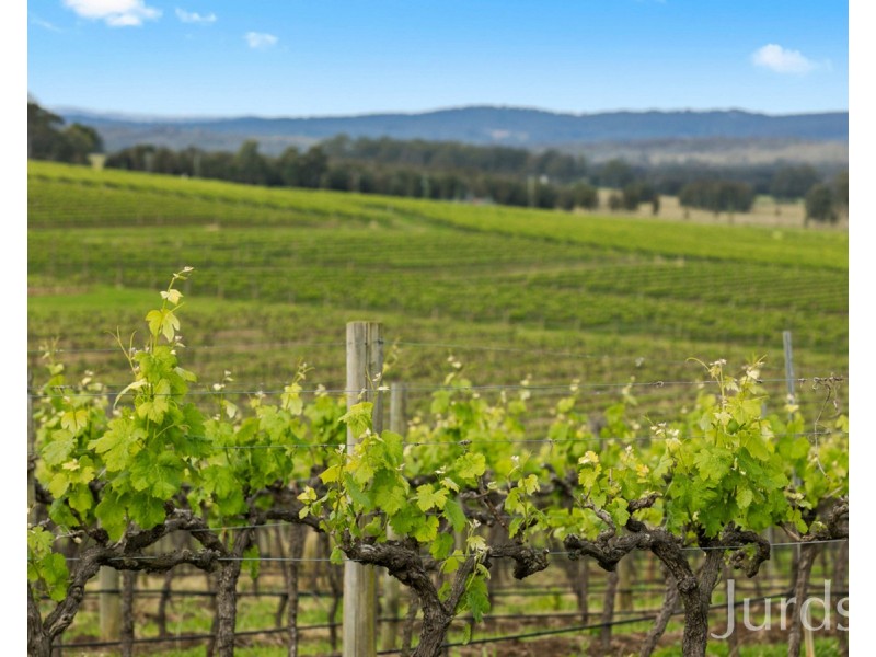119 & 139 Mistletoe Lane, Pokolbin NSW 2320