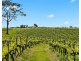 119 & 139 Mistletoe Lane, Pokolbin NSW 2320