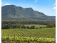 119 & 139 Mistletoe Lane, Pokolbin NSW 2320