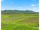 119 & 139 Mistletoe Lane, Pokolbin NSW 2320