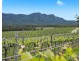 119 & 139 Mistletoe Lane, Pokolbin NSW 2320