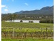 119 & 139 Mistletoe Lane, Pokolbin NSW 2320