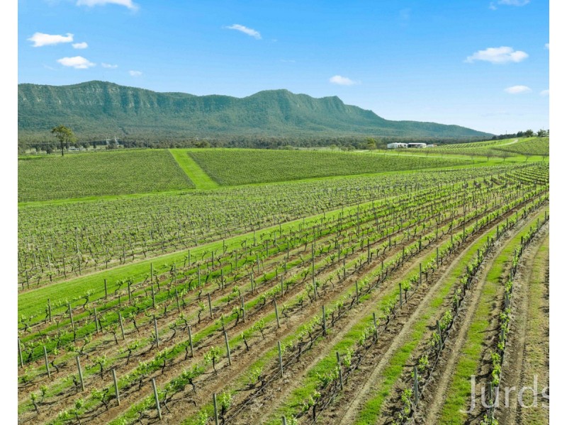 119 & 139 Mistletoe Lane, Pokolbin NSW 2320