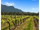 119 & 139 Mistletoe Lane, Pokolbin NSW 2320
