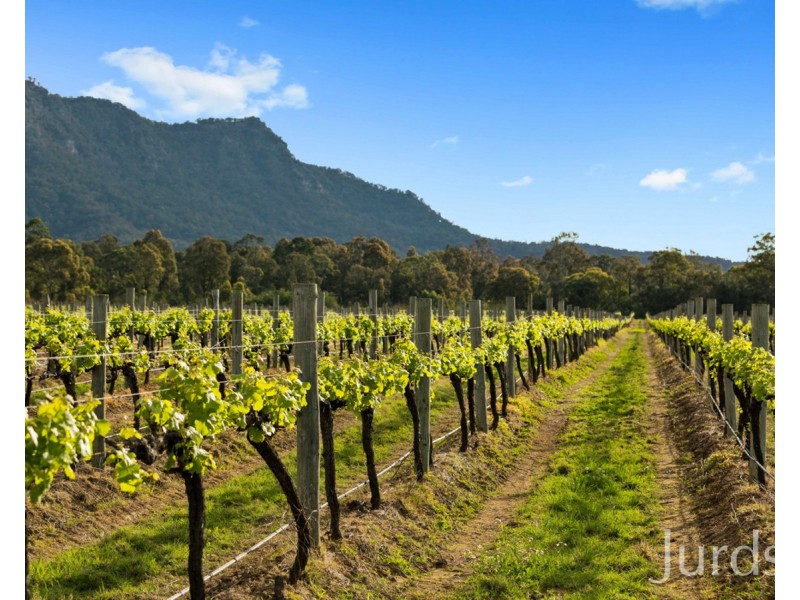 119 & 139 Mistletoe Lane, Pokolbin NSW 2320