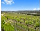119 & 139 Mistletoe Lane, Pokolbin NSW 2320