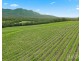 119 & 139 Mistletoe Lane, Pokolbin NSW 2320