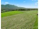 119 & 139 Mistletoe Lane, Pokolbin NSW 2320