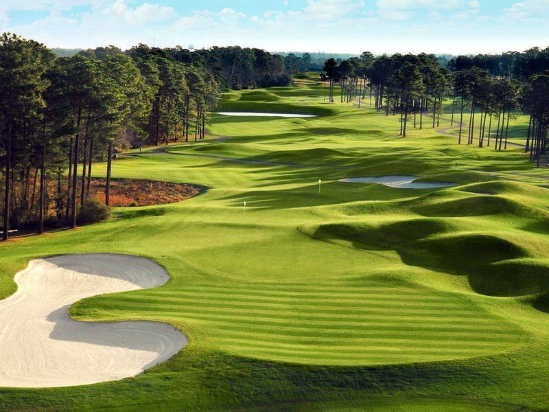 Lots 1 – 4 Wine Country Drive, Pokolbin NSW 2320