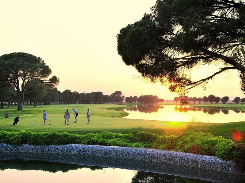 Lots 1 – 4 Wine Country Drive, Pokolbin NSW 2320