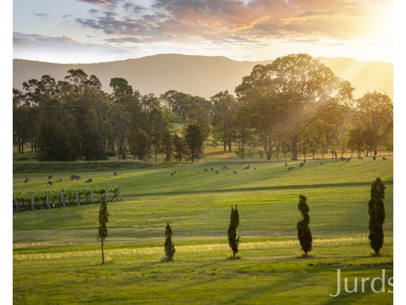 Lovedale NSW 2325