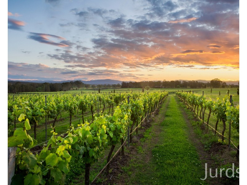 Lovedale NSW 2325