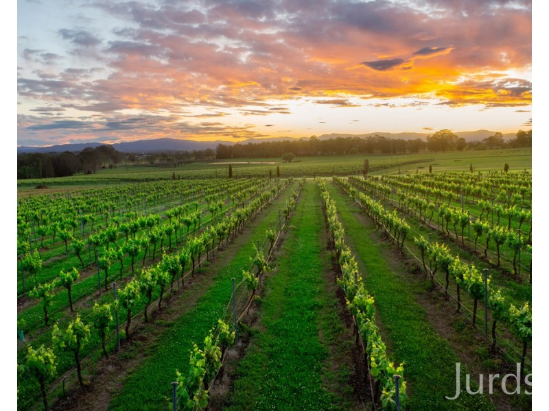 Lovedale NSW 2325