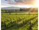 Lovedale NSW 2325