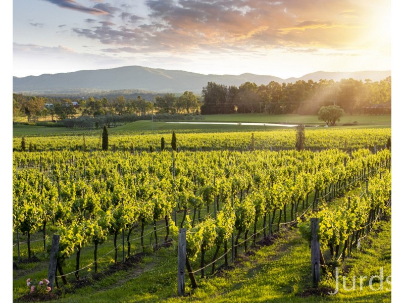 Lovedale NSW 2325