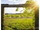 Lovedale NSW 2325