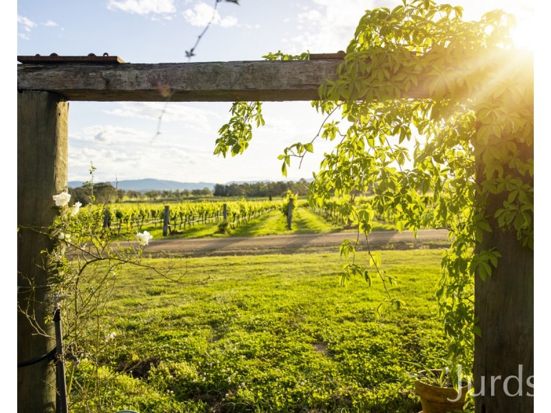 Lovedale NSW 2325