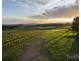 Lovedale NSW 2325