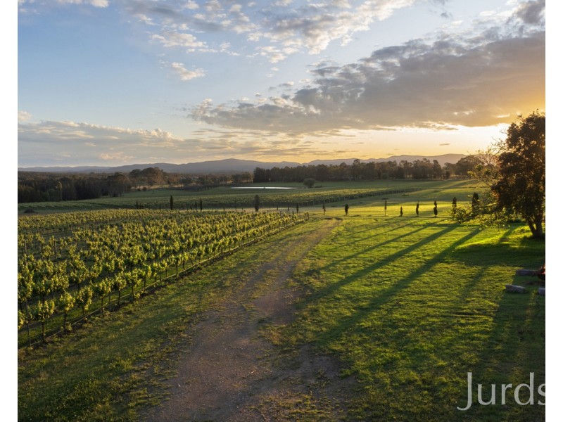Lovedale NSW 2325