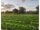 Lovedale NSW 2325