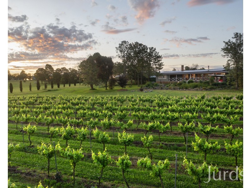 Lovedale NSW 2325