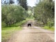 Lovedale NSW 2325