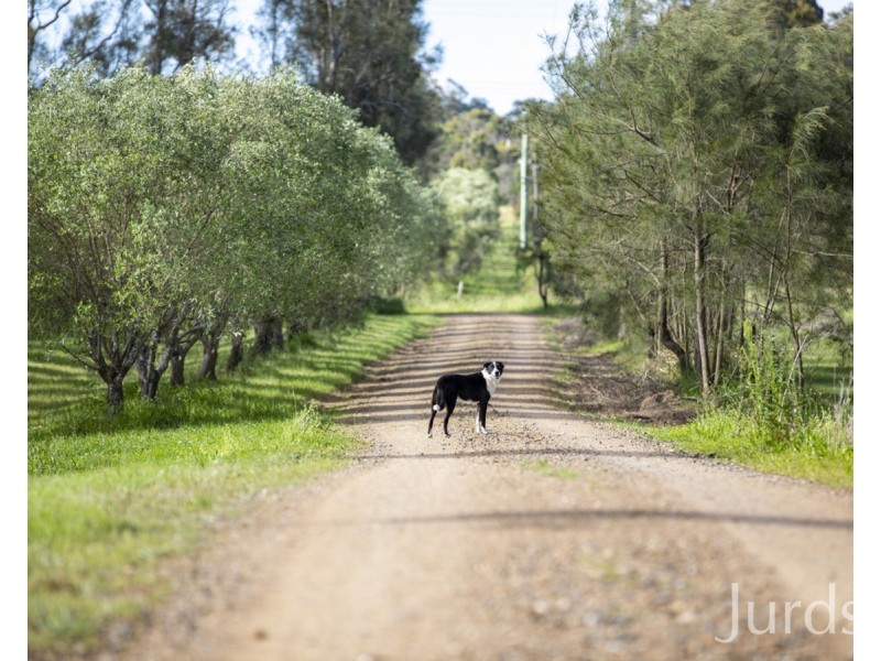 Lovedale NSW 2325